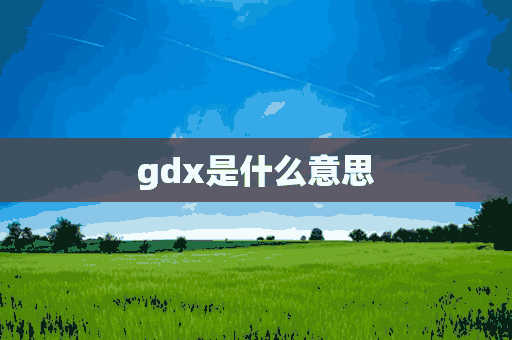 gdx是什么意思(gdx是什么意思网络用语)